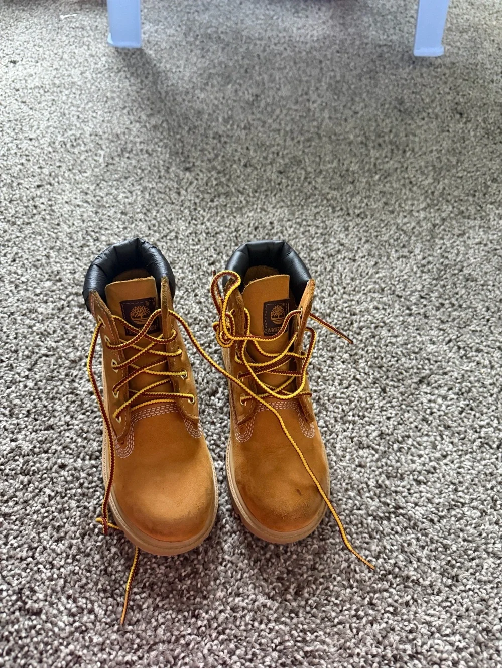 Timberland Kids Wheat Lace-Up Boots with Black Padded Collar